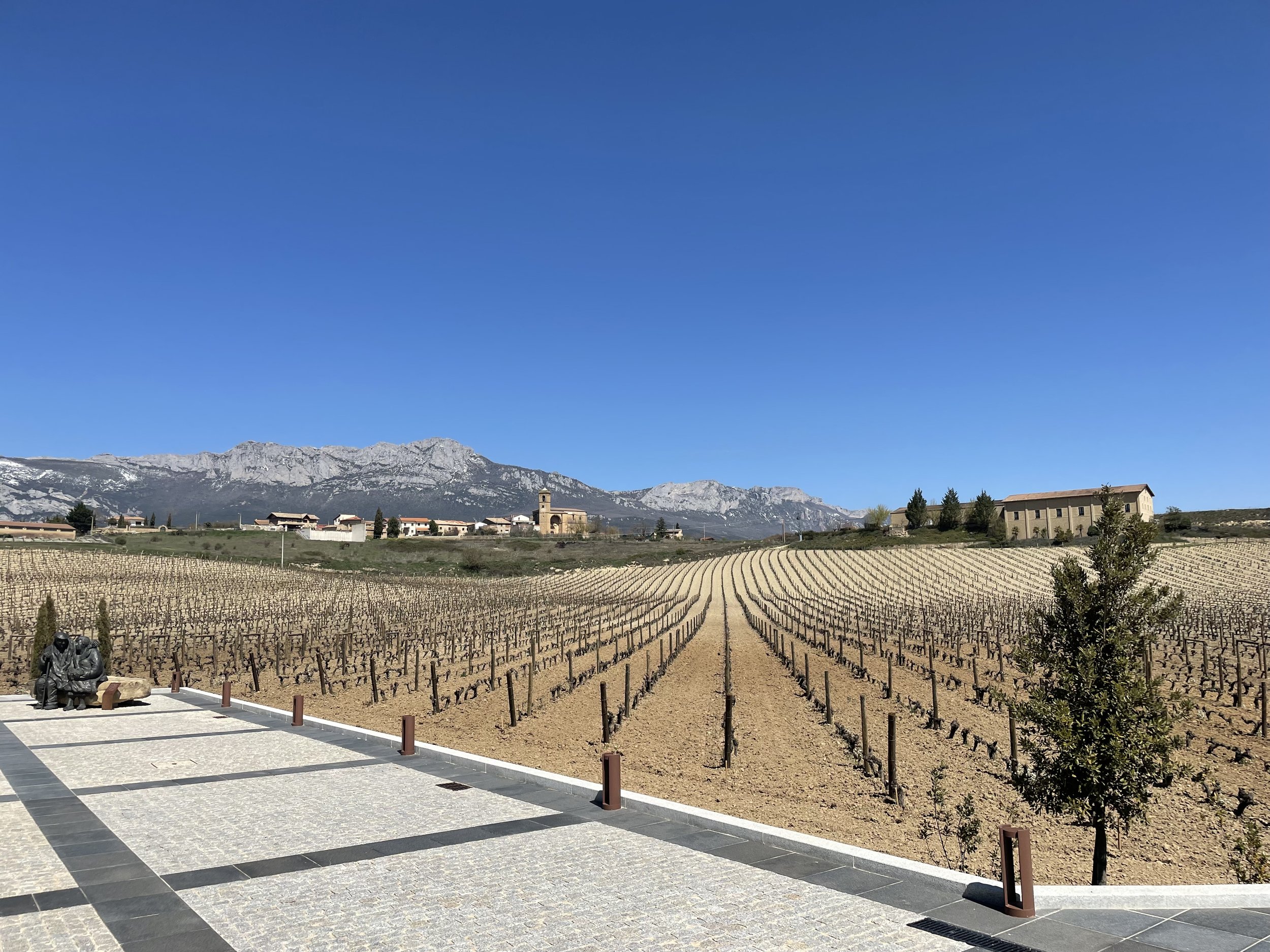 Anniversary Class: Rioja Wines in Shaw!