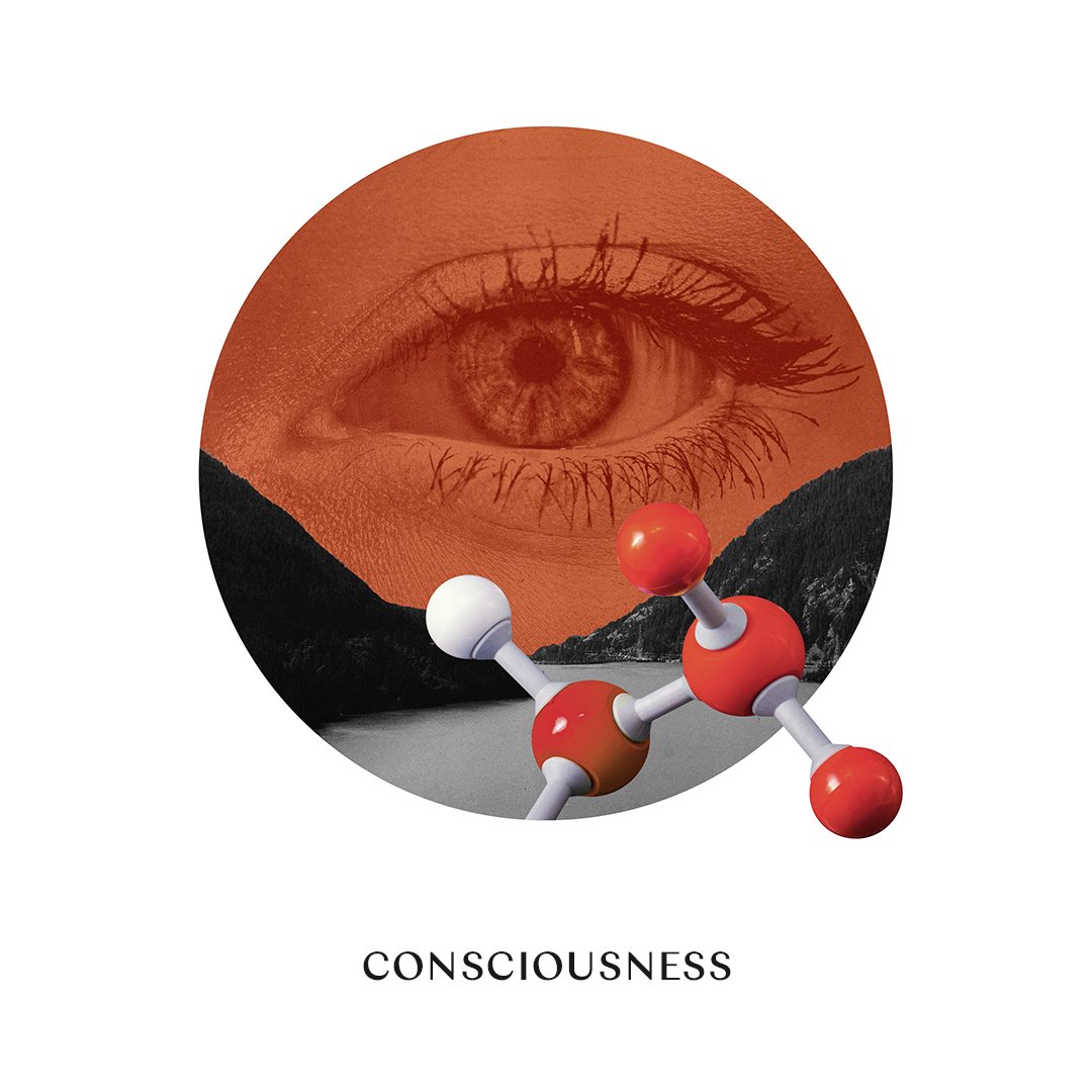 conscioussness.jpg