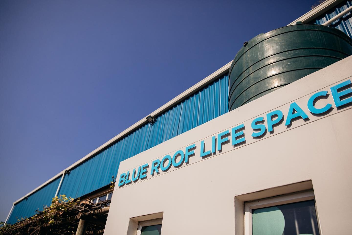 Join the Blue Roof Life Space this month in promoting the government&rsquo;s Arbour Month campaign. Help raise awareness of the value of trees and creating awareness of trees species that are threatened by extinction. The Arbour Month campaign promot