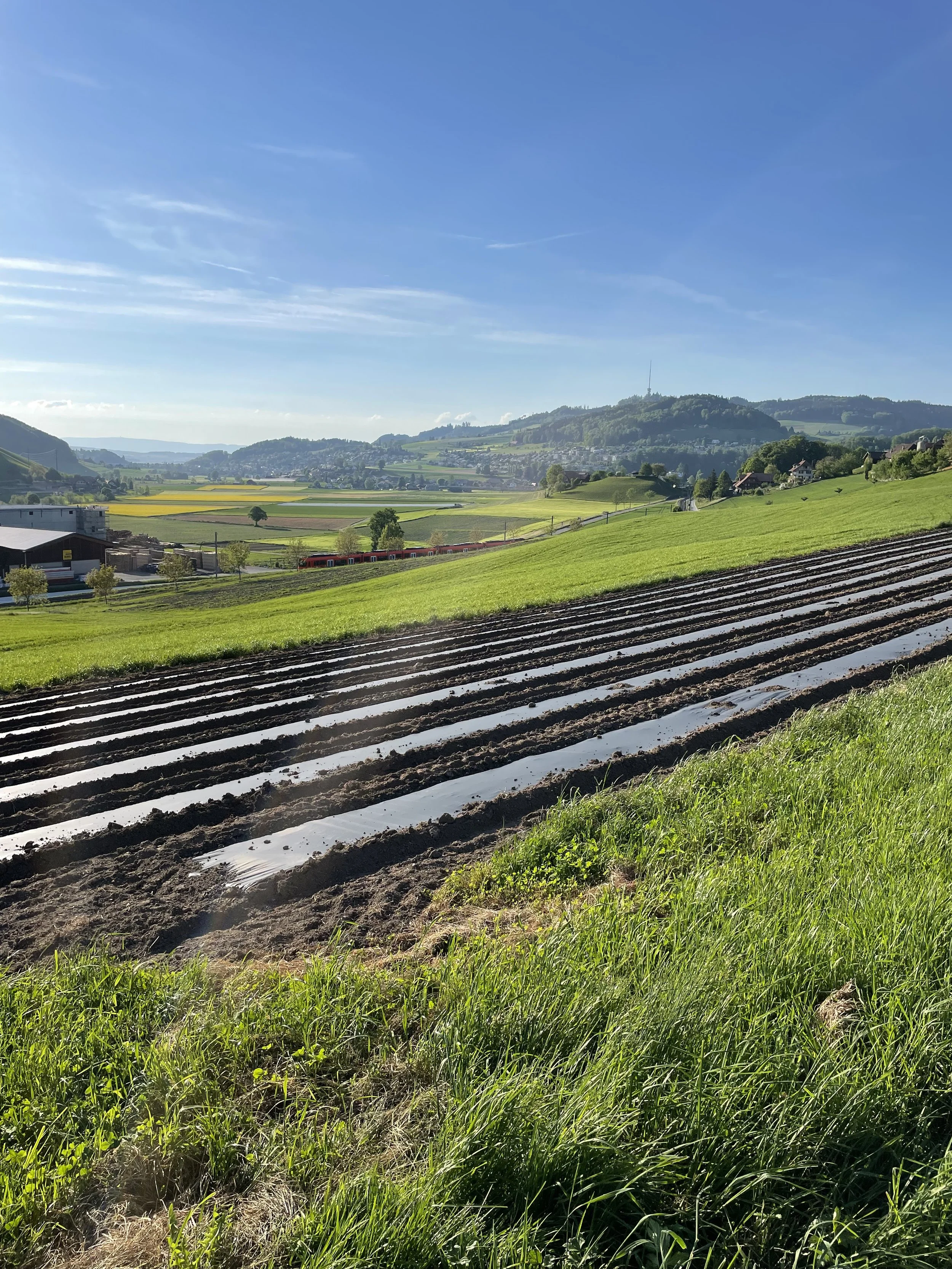 Backstage bei den Spargeln in Vechigen