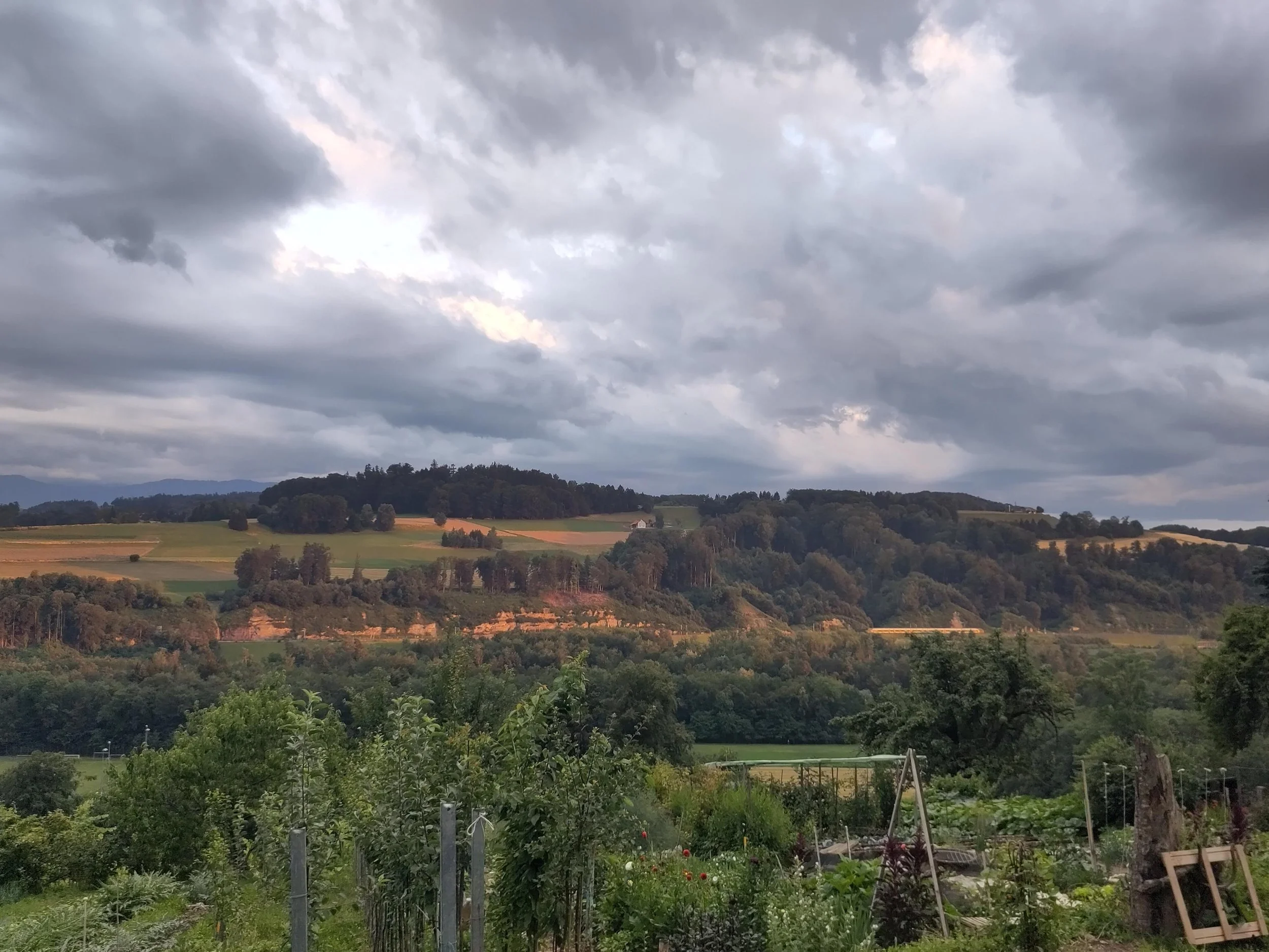 Spannende Gartenführungen bei unserem Amico legummes