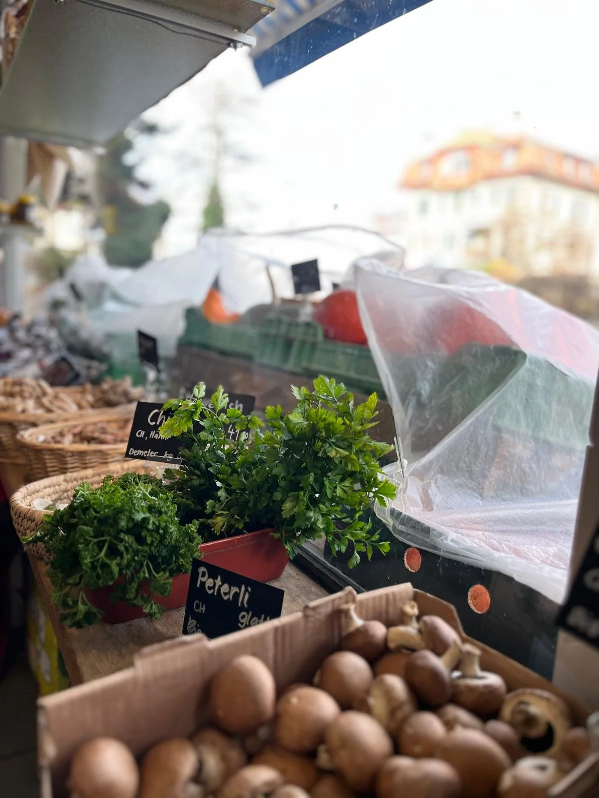 WhatsApp Image 2025-12-11 at 14.02.16 (2).jpeg