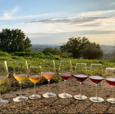 Neuer Amico: Naturweine.art GmbH