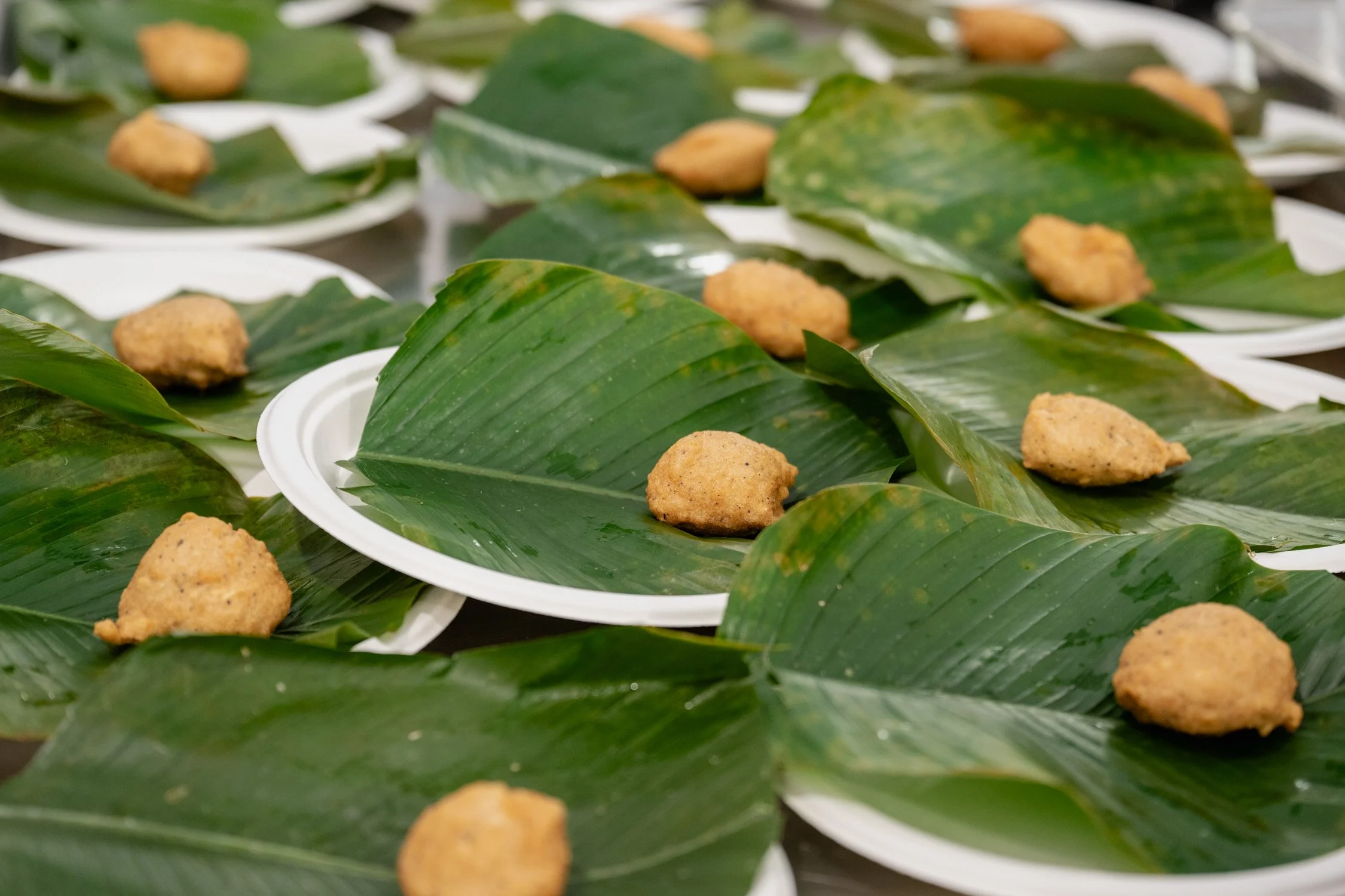 Terra Madre Salone del Gusto 2026
