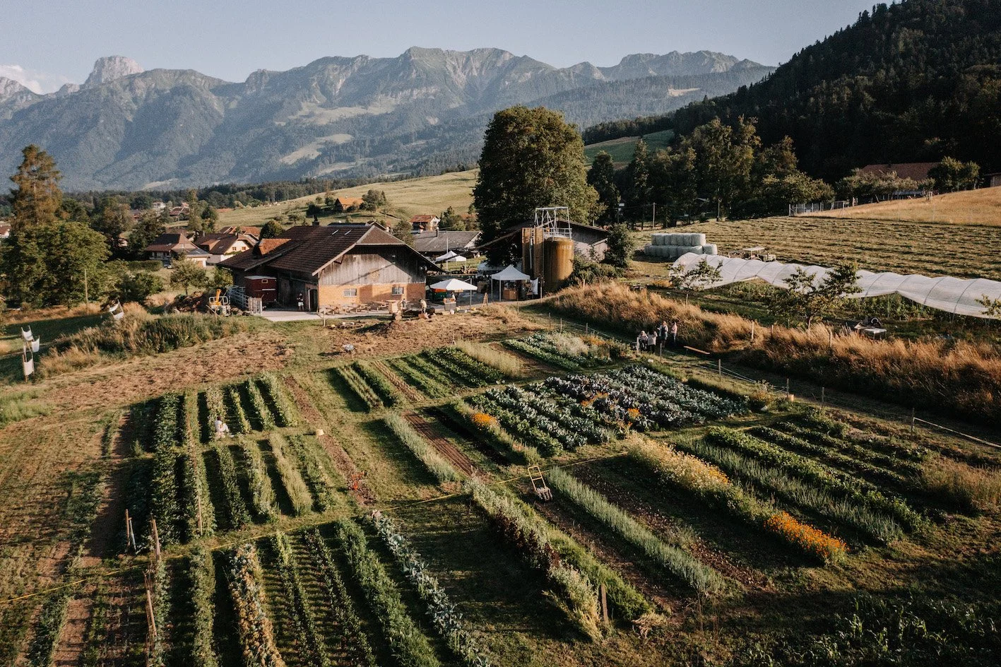 Übergabe der Auszeichnung 2025 an joli mont biohof