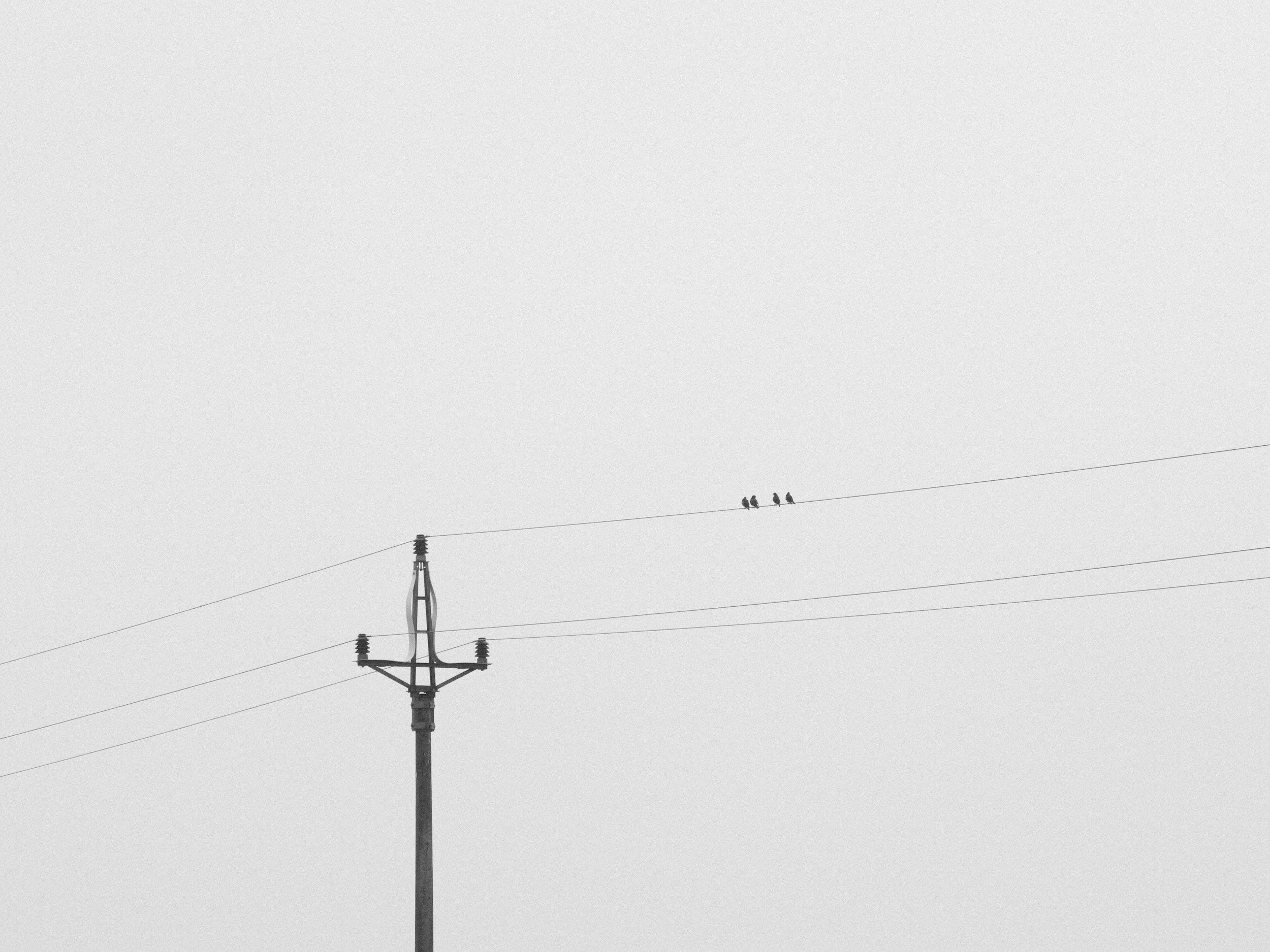 unsplash-image-2aUNt502Iu4.jpg