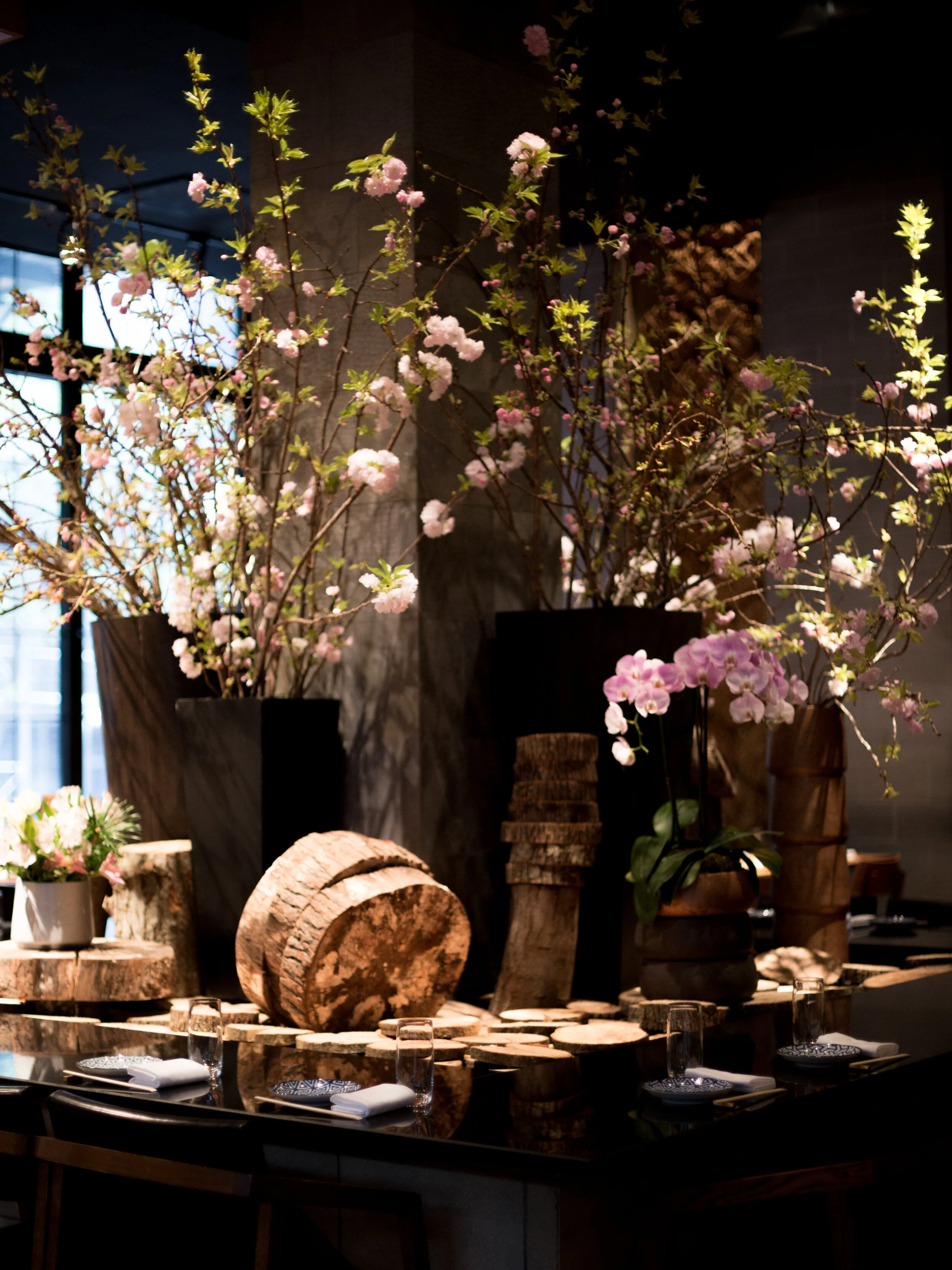 EN_2019_spring_-31 (1).jpg