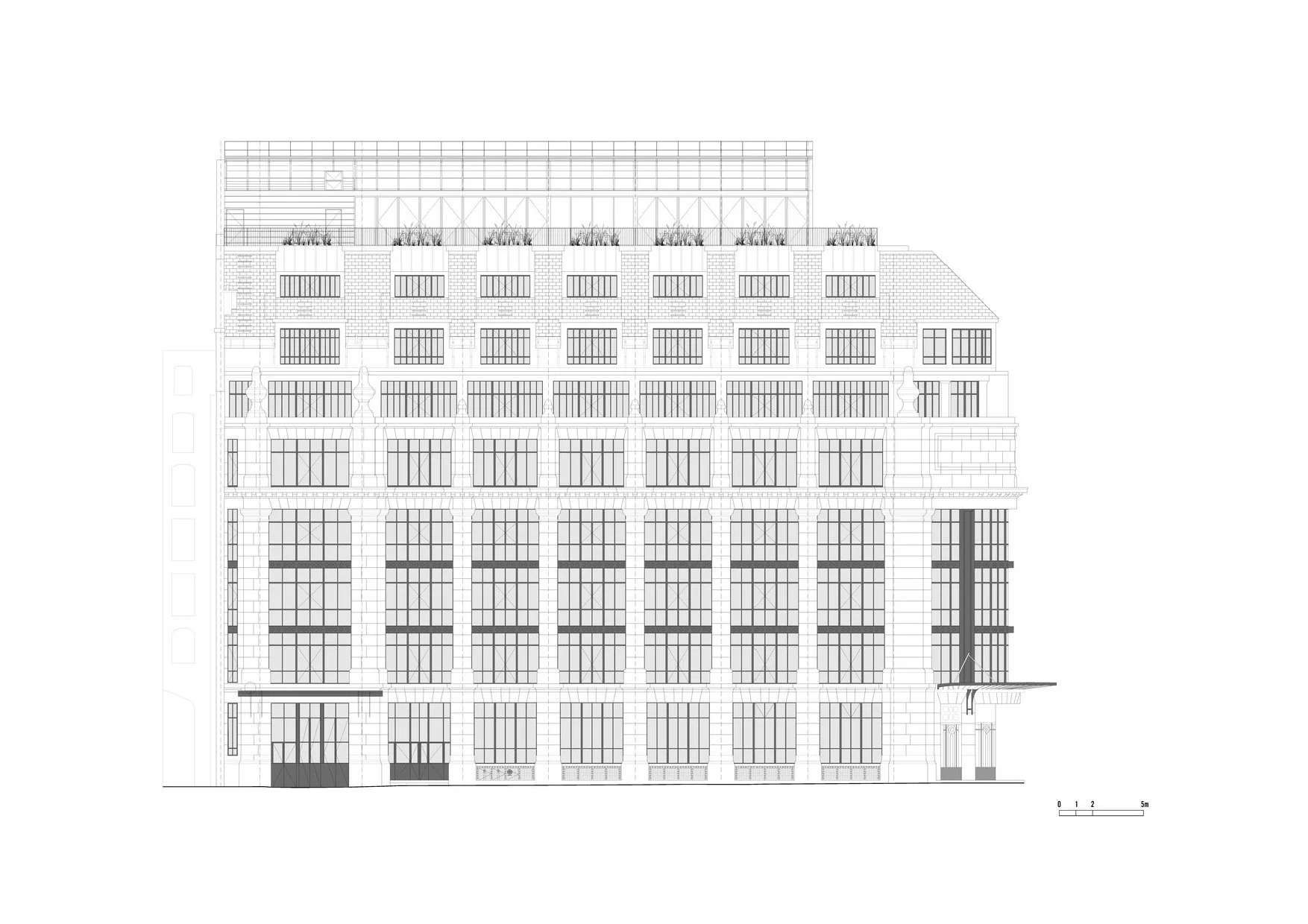 clementsanna-plainpalais3.jpg