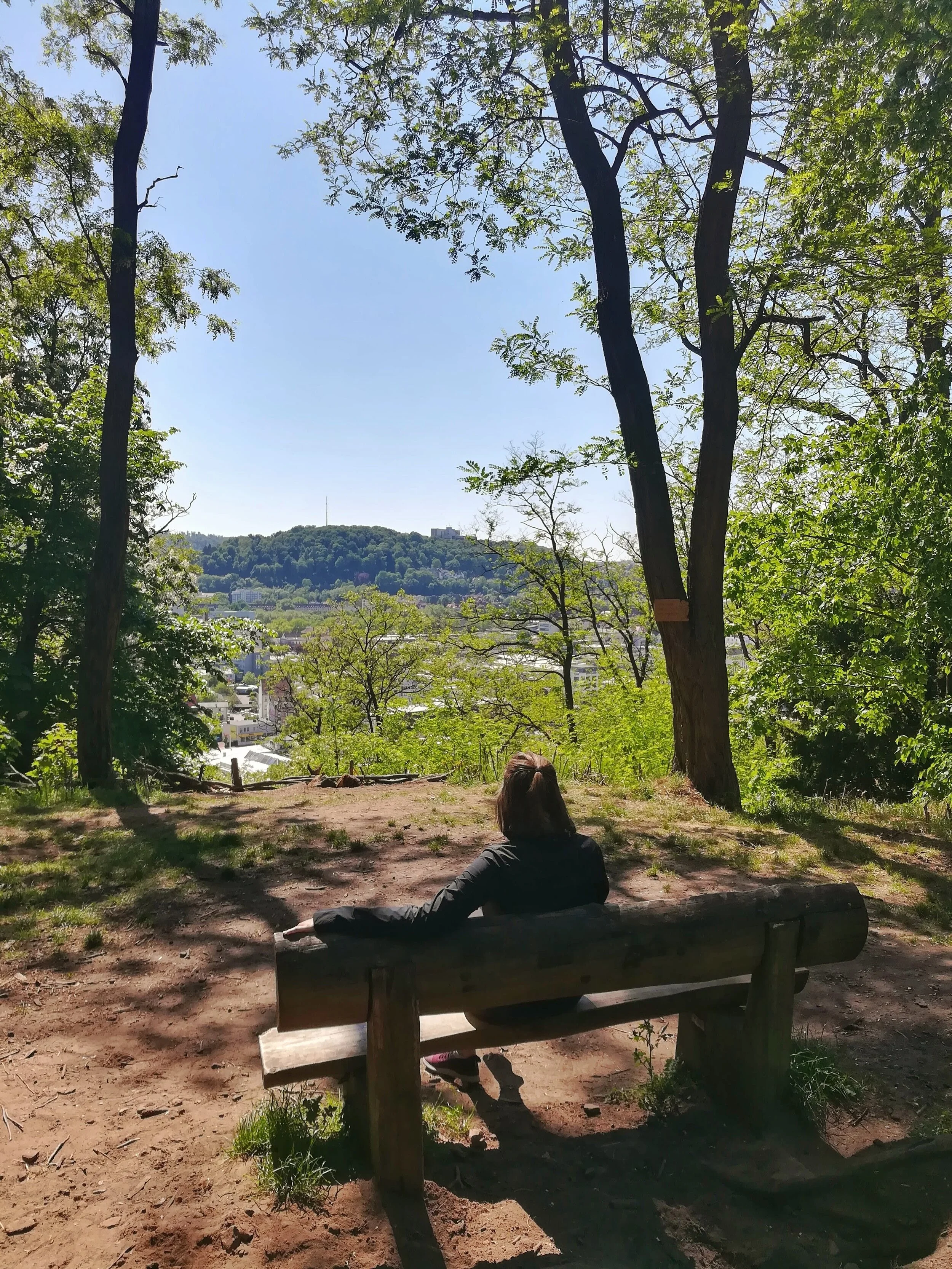 Wanderung zum Kaninchenberg in Saarbrücken