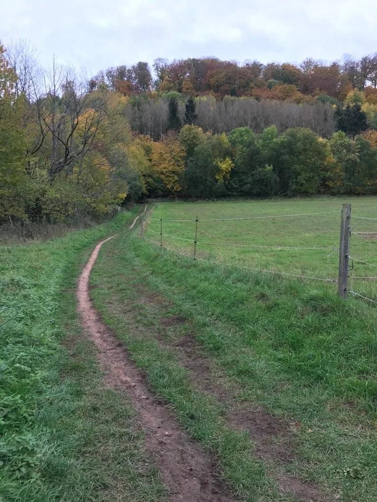 WhatsApp Image 2020-10-24 at 18.14.14.jpeg