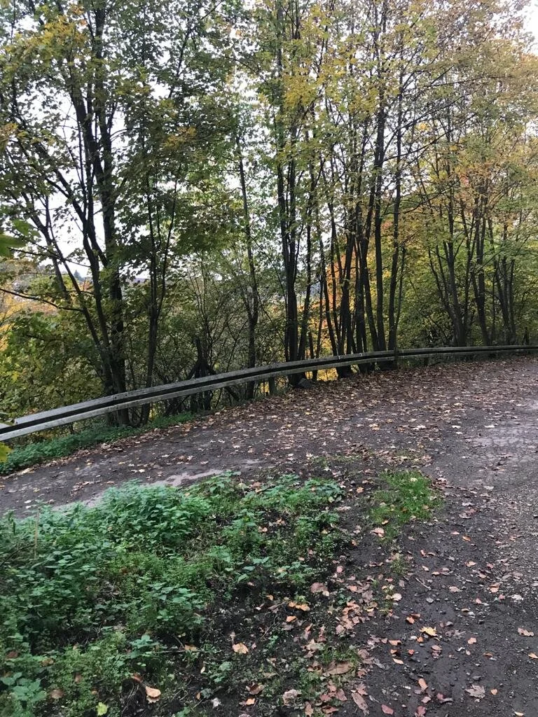 WhatsApp Image 2020-10-24 at 18.14.15 (1).jpeg