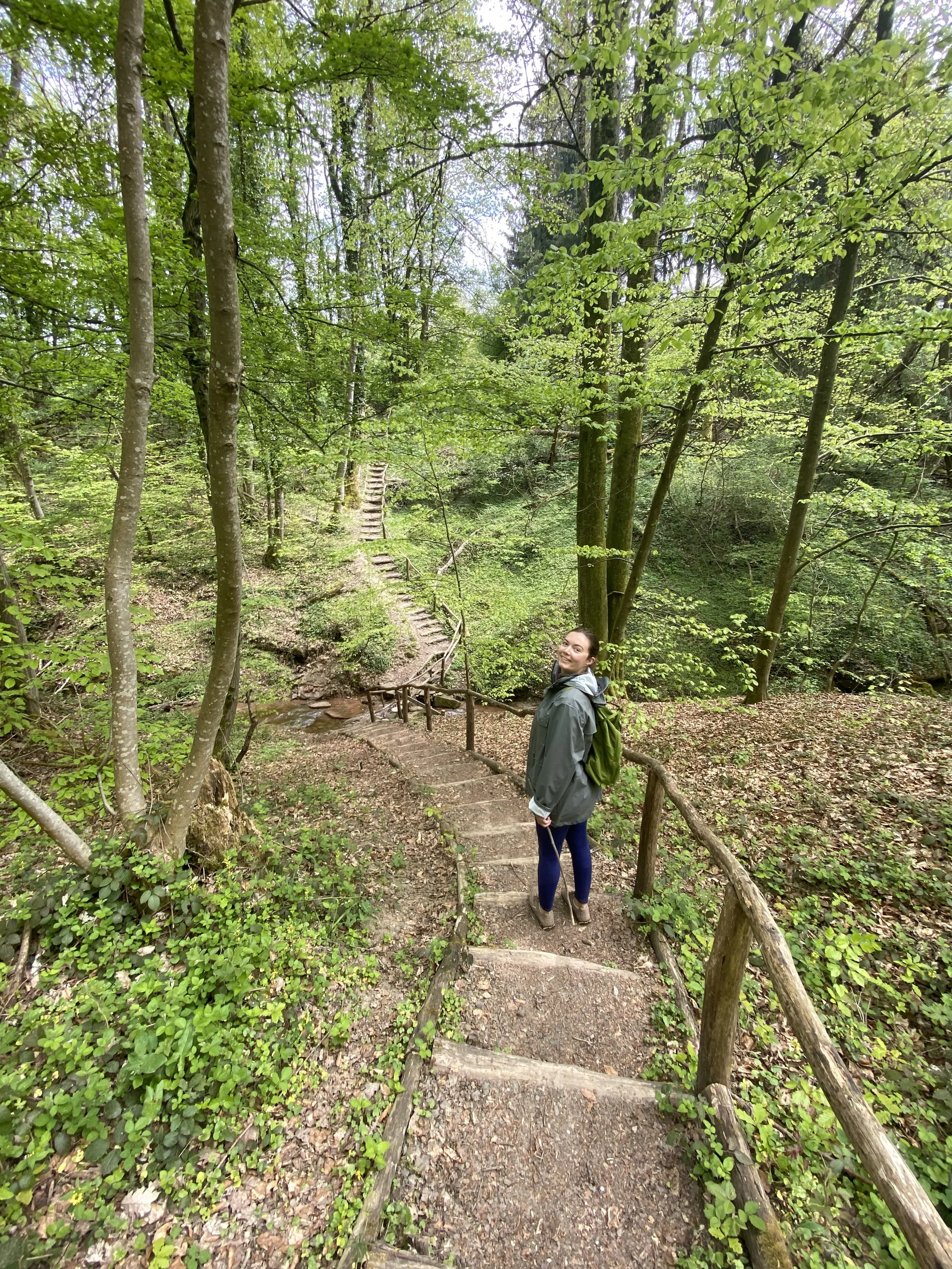 Wandern rund um Heckendalheim "Rund um Dalem"