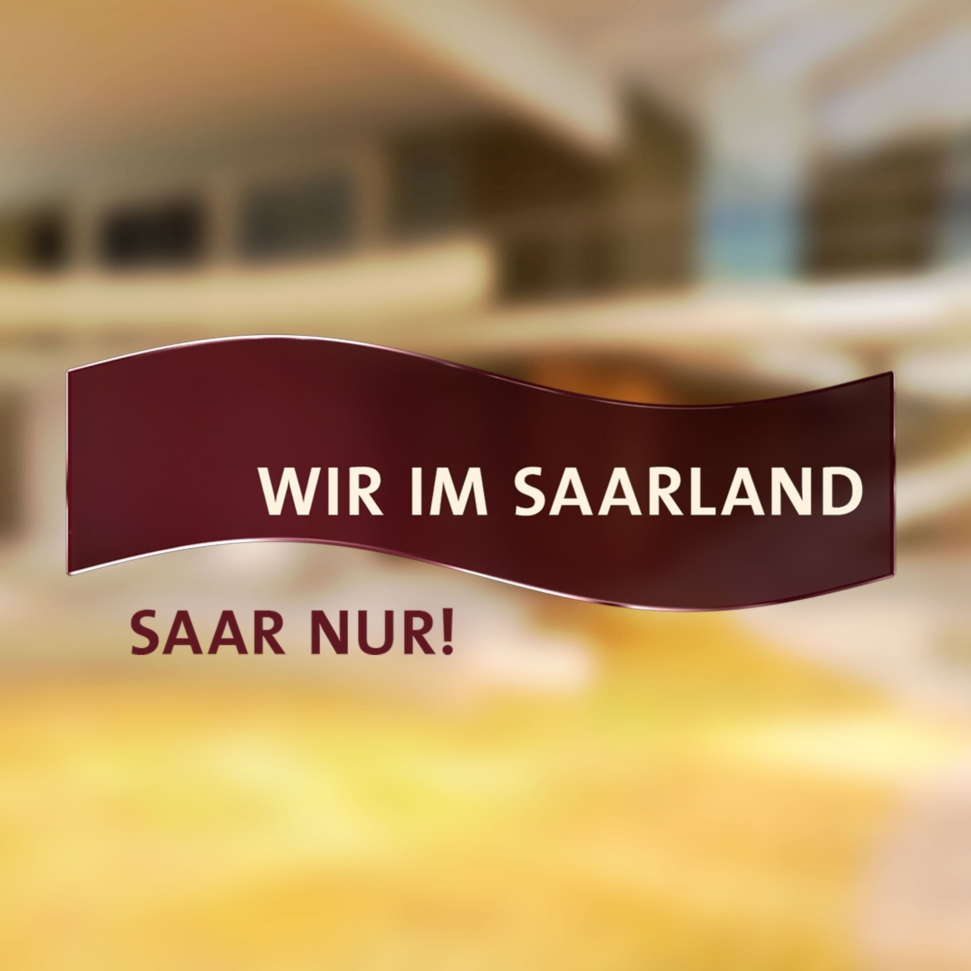 logo_wir_im_saarland_saar_nur100.jpg