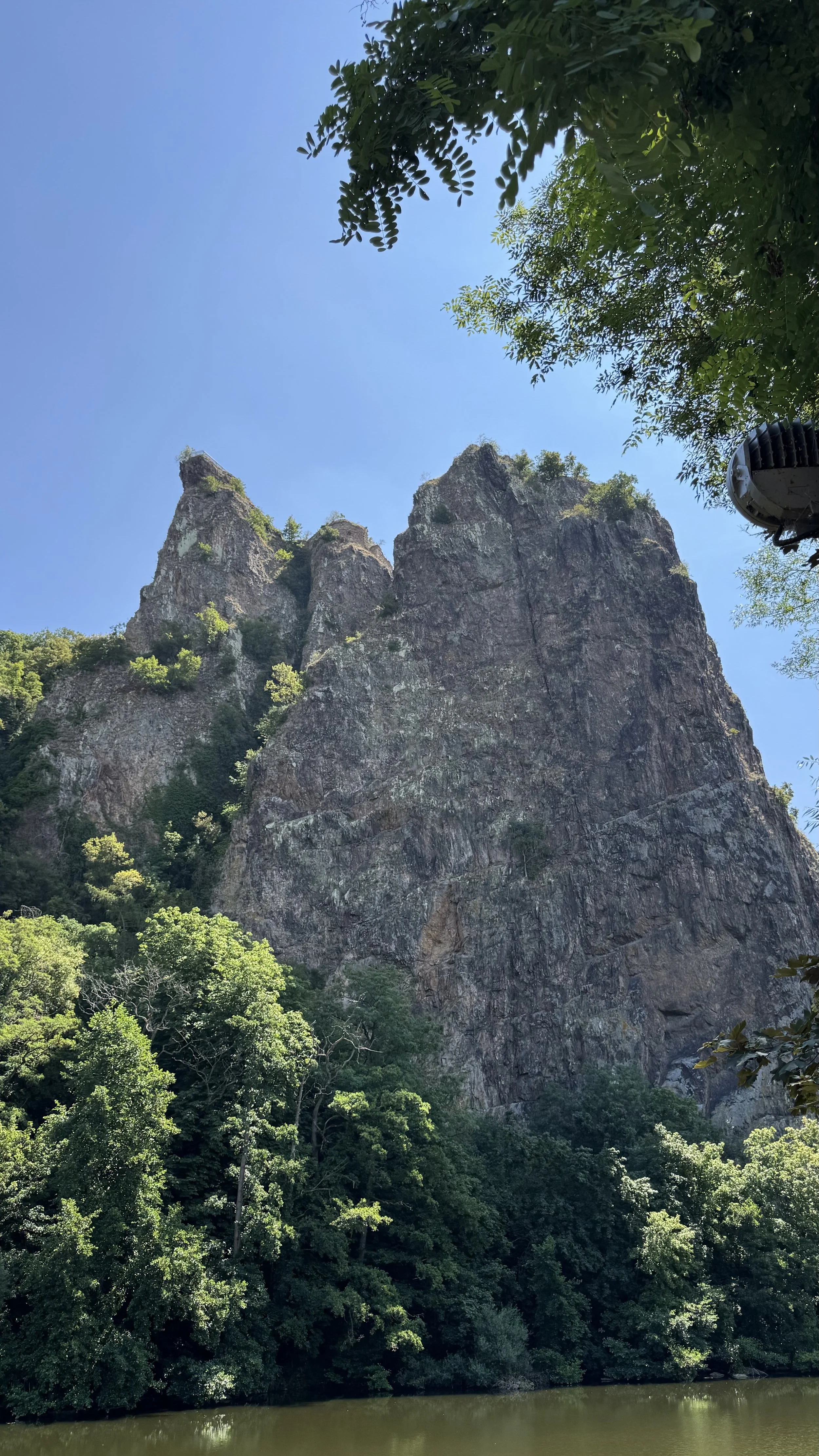 IMG_4016.jpeg