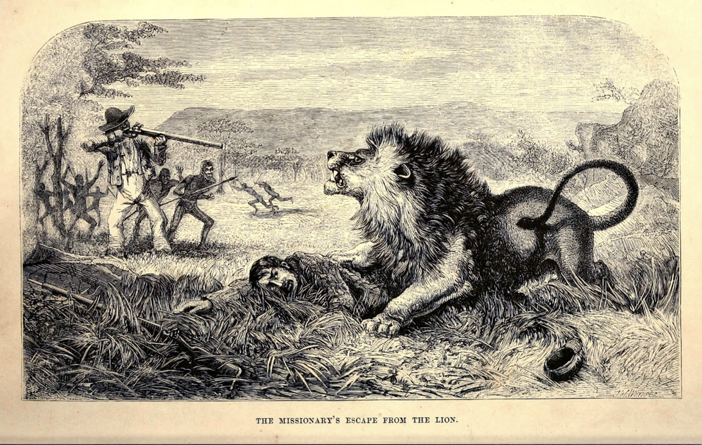 Illustration 'The Missionary's escape from the lion' in Missionary Travels