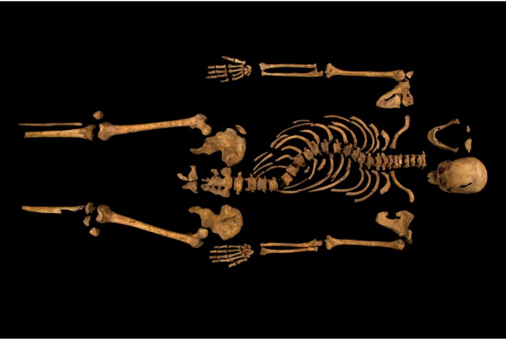 Skeleton of Richard III found in Leicester, 2012
