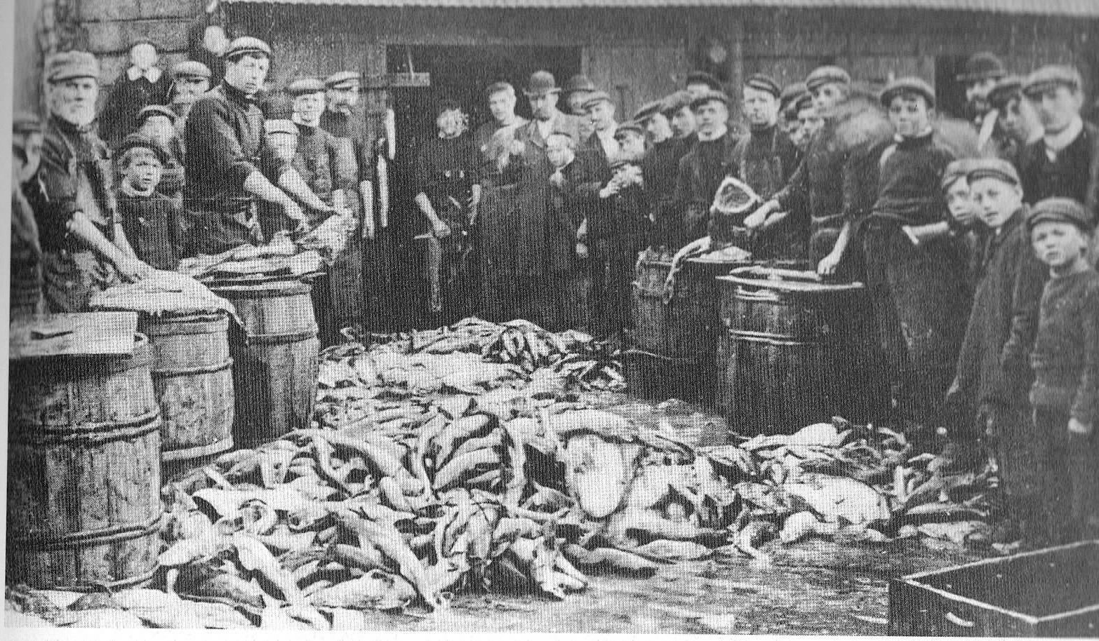 Posed preparing fish 1912