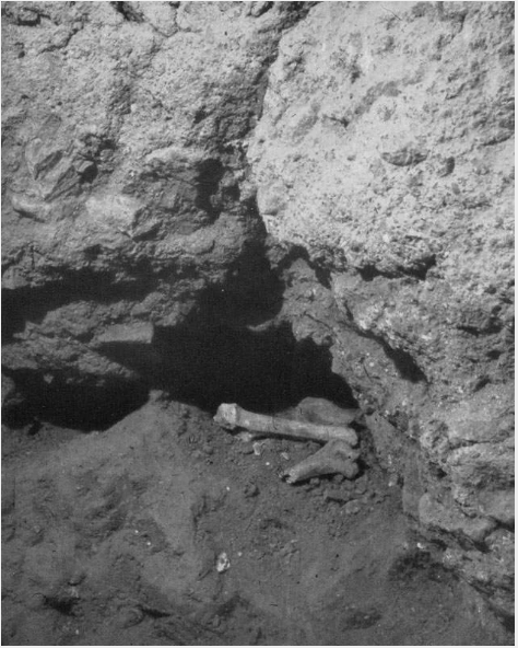 Human bones at the Red Wall, placed there for the photo