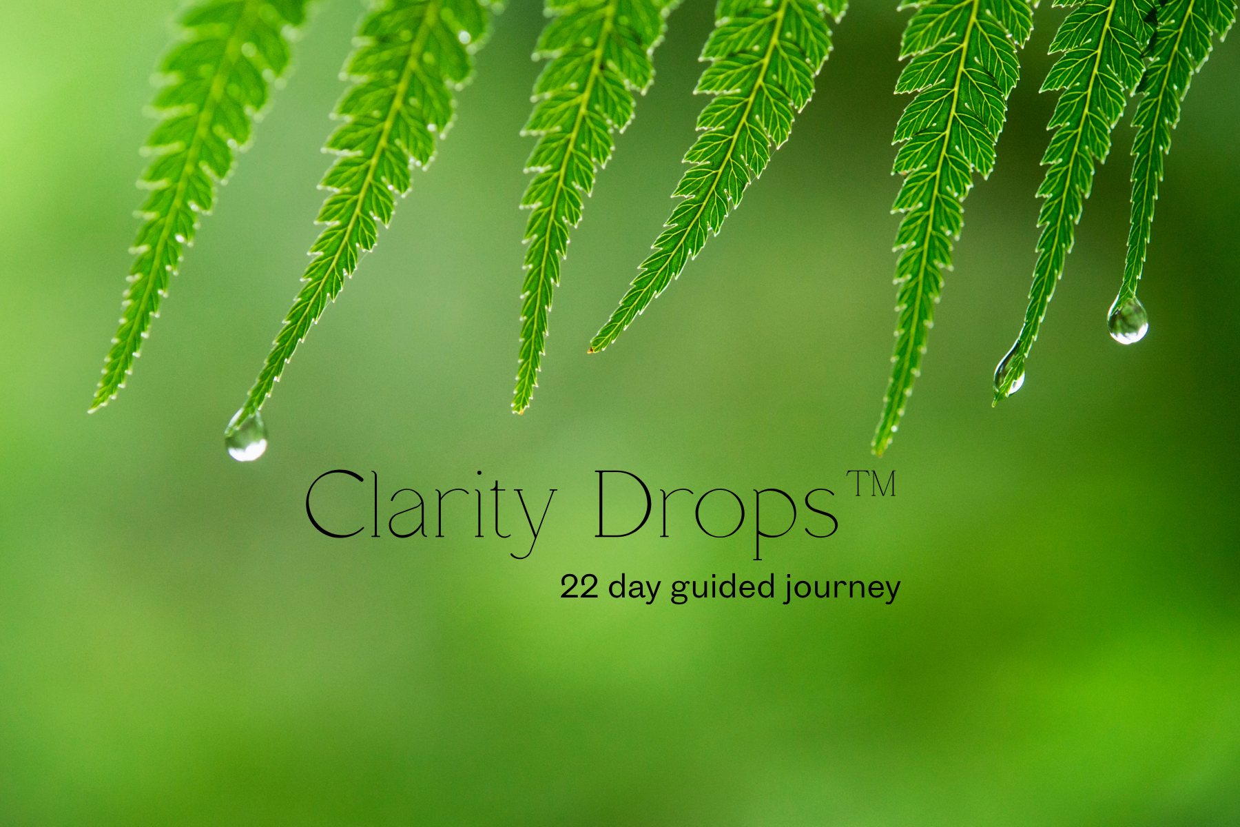 Clarity Drops™ (1).png