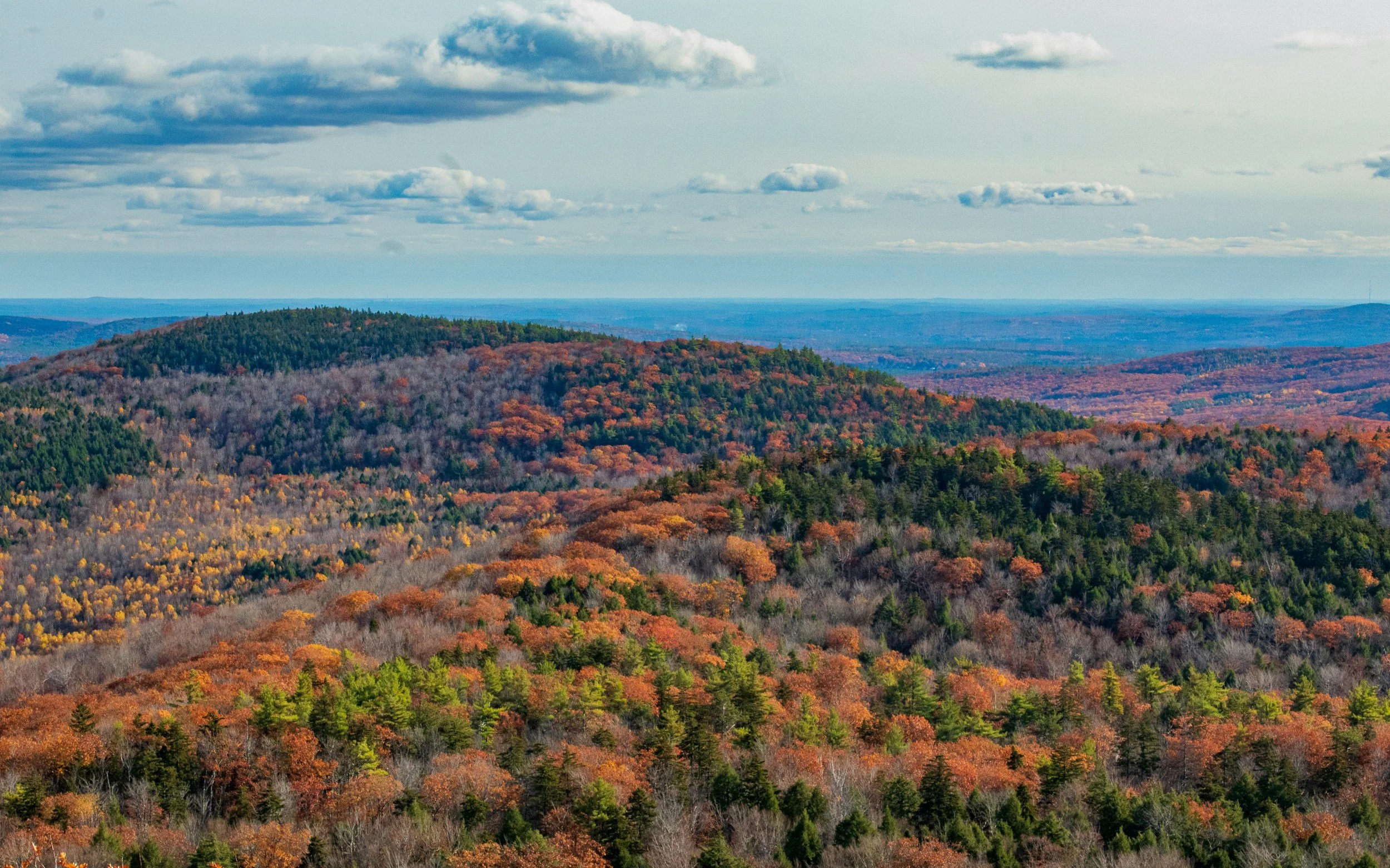 Nature Based Therapy Conference