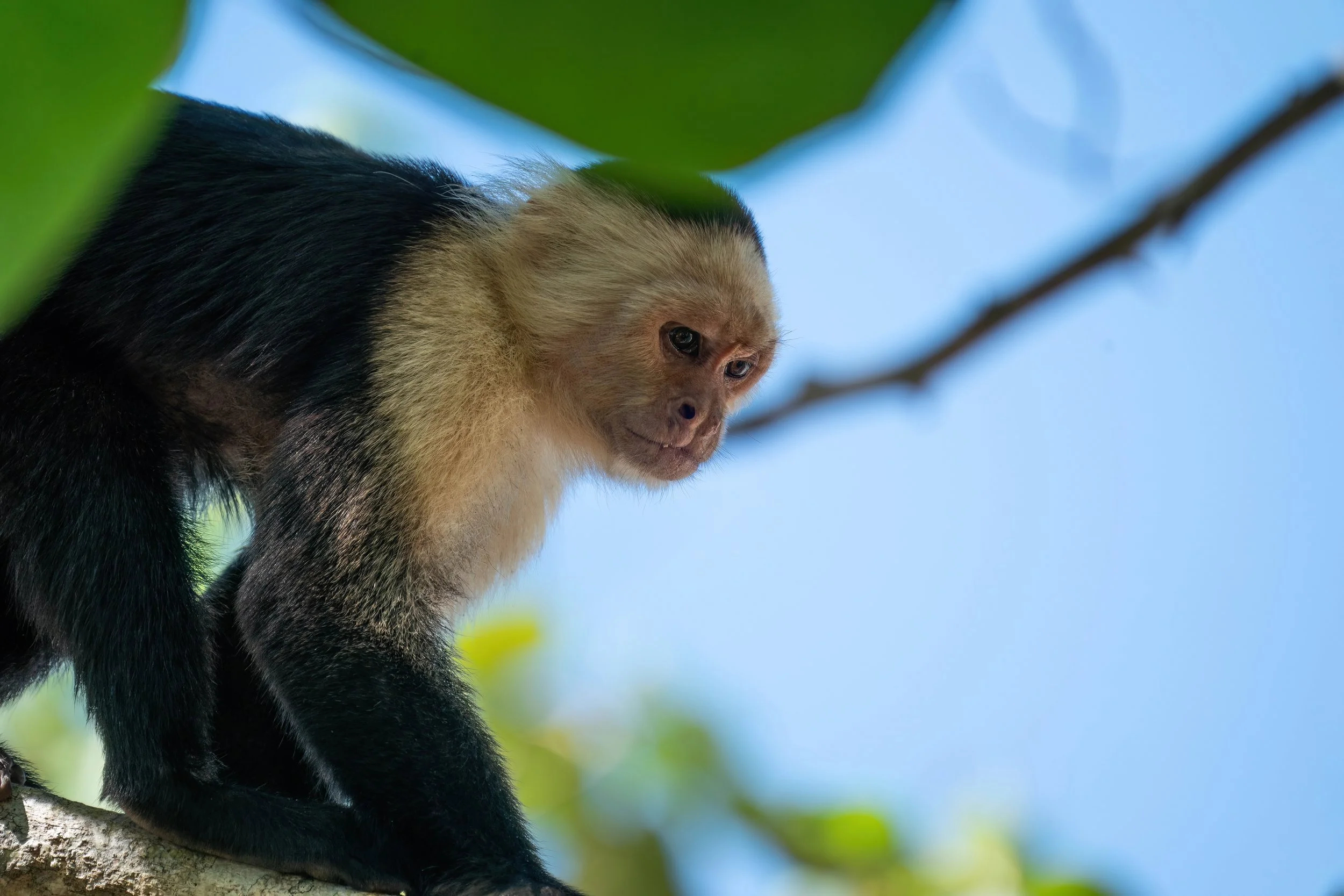 006085873664-DeNoiseAI-low-light (1).Jpeg