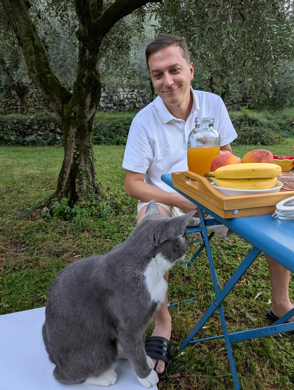 WhatsApp Image 2024-09-08 at 11.39.09.jpeg