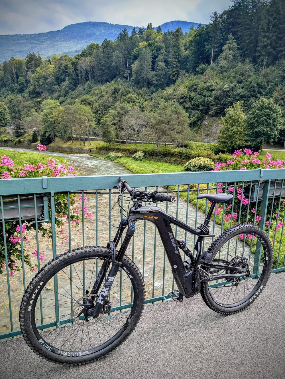 WhatsApp Image 2024-09-04 at 17.20.39.jpeg