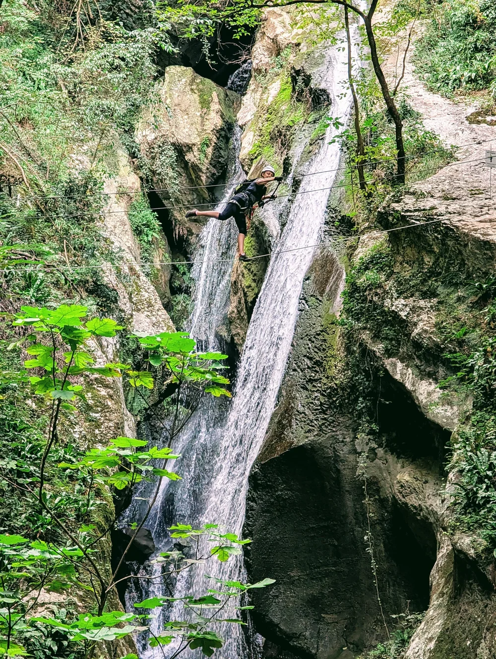 WhatsApp Image 2024-09-03 at 19.06.04.jpeg