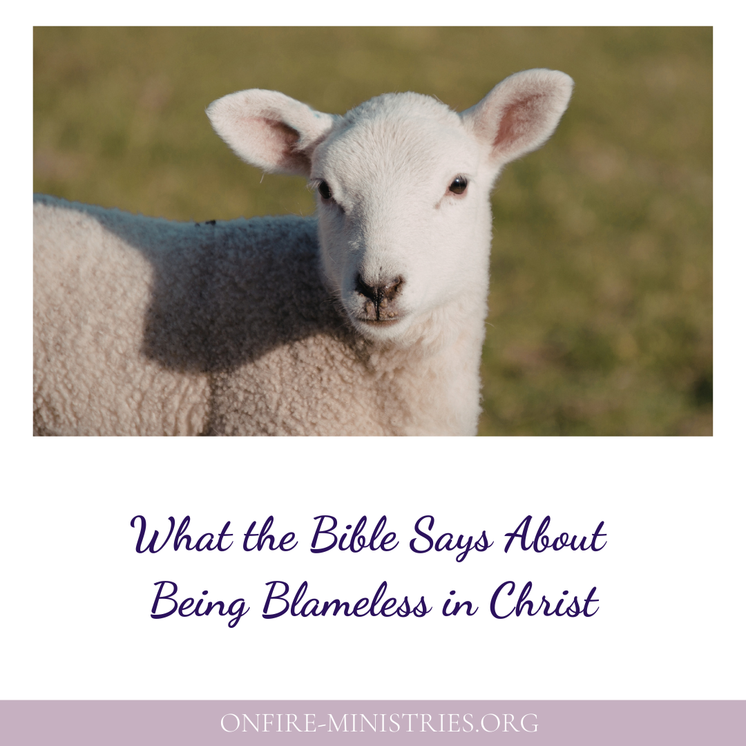 What The Bible Says About Being Blameless In Christ