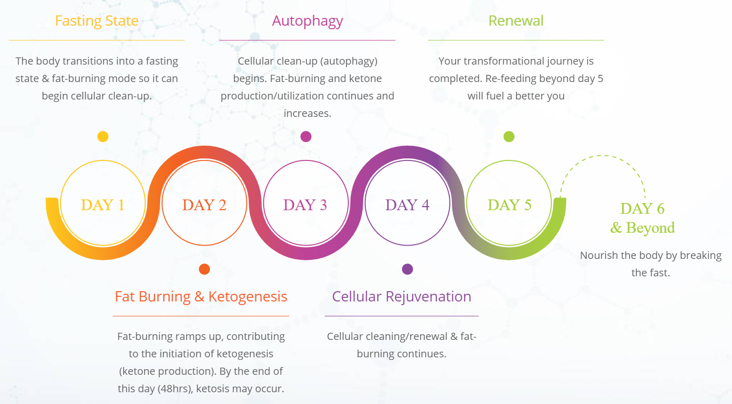 Nutrition Wellness Blog