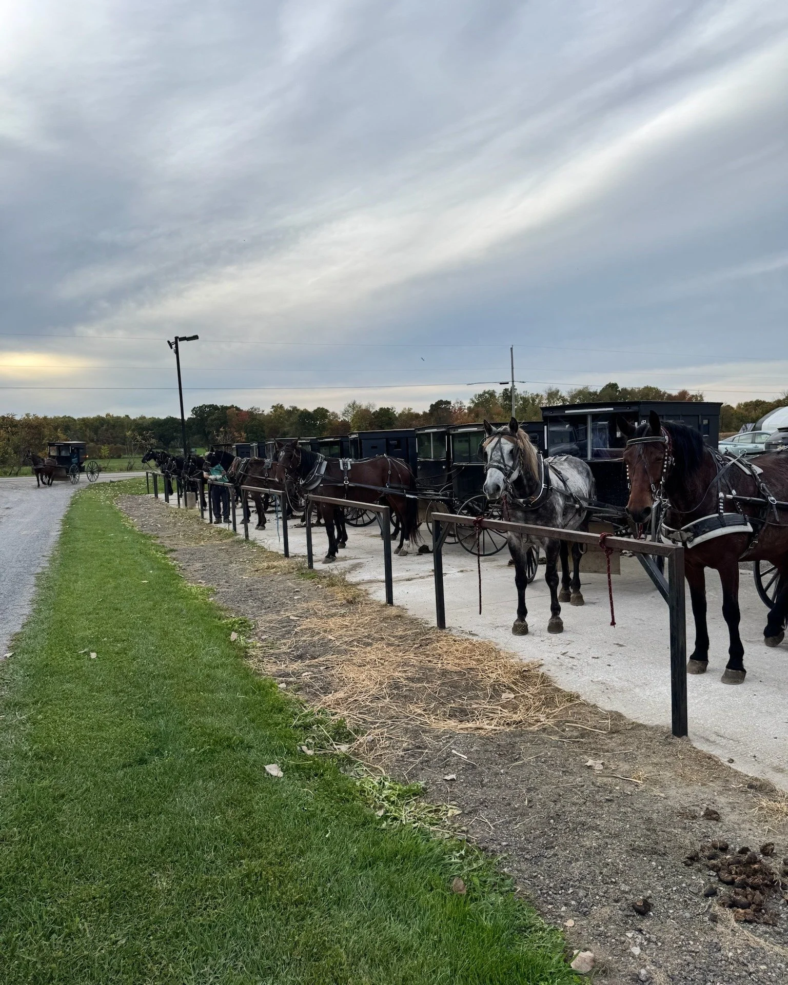 What an incredible night!
Last Friday marked our first-ever Michigan Benefit Supper — a wonderful evening made possible by a dedicated committee of volunteers from the southern Michigan region. π
It was inspiring to see the community come tog