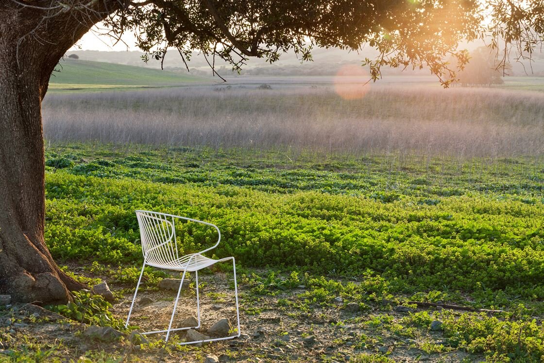 isimar_bolonia-collection_armchair.jpeg