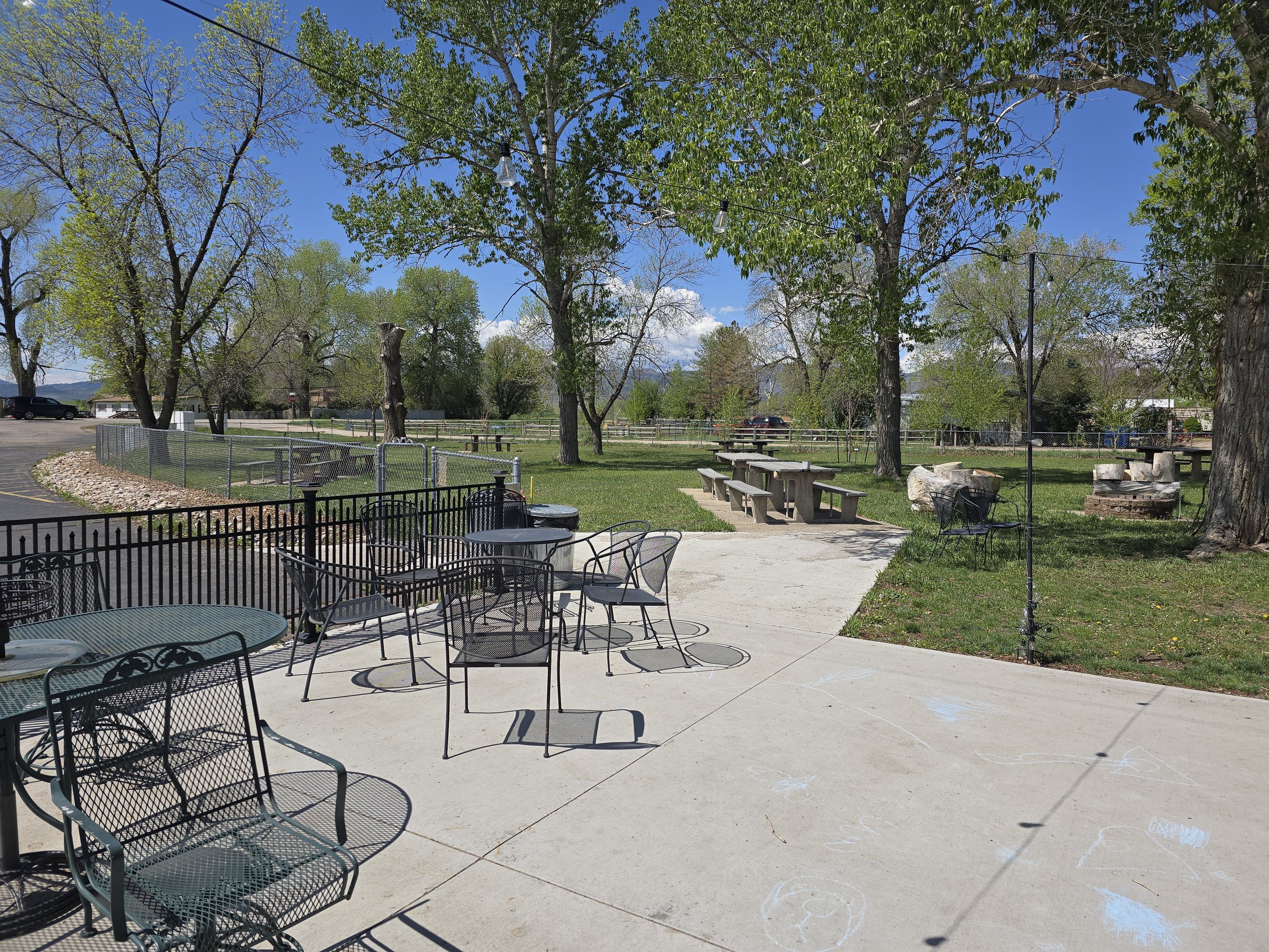 Rest of Yard.jpg
