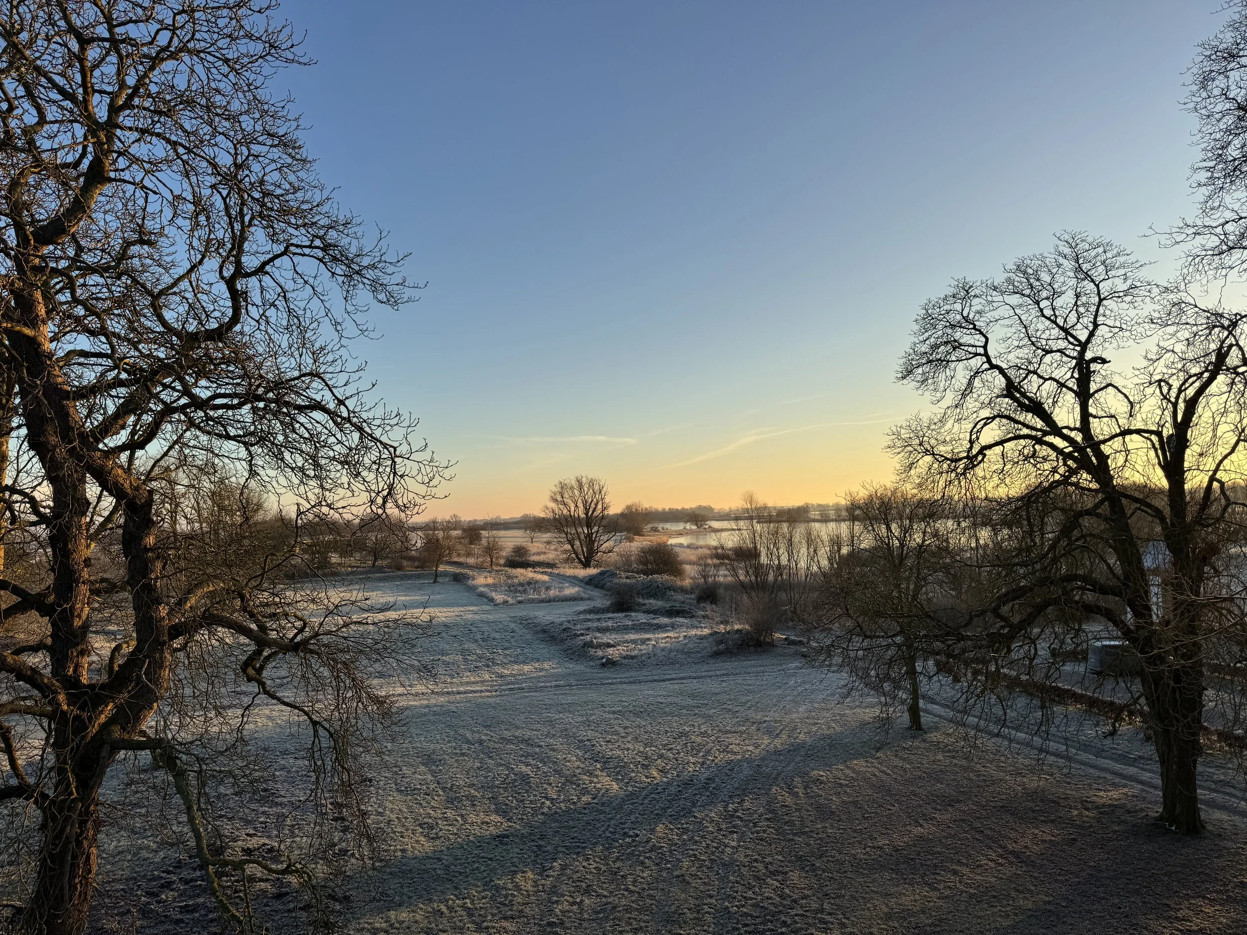 IMG_9564.jpeg