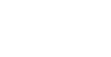 Joie II Inner Evolution Coach