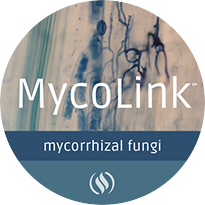 Mycolink-Endo_web-large.png