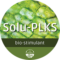 Solu-PLKS_web-large.png