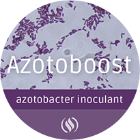 Azotooboost_web-large.png