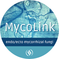 Mycolink-Endo-Ecto_web-large.png
