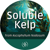 SolubleKelp_web-large.png