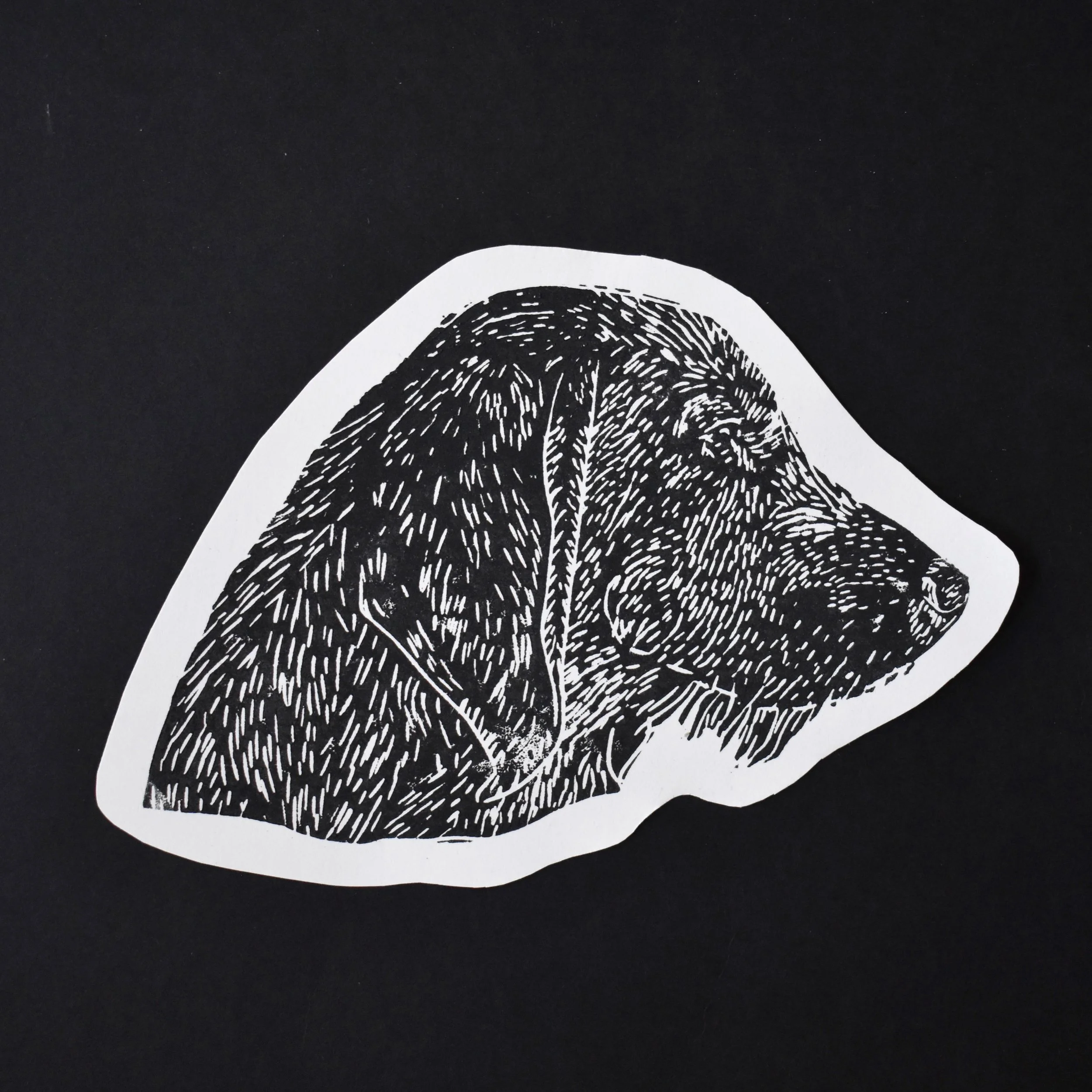 658B756D-F7D5-44DD-A624-5A36590E8BCE 2.JPG