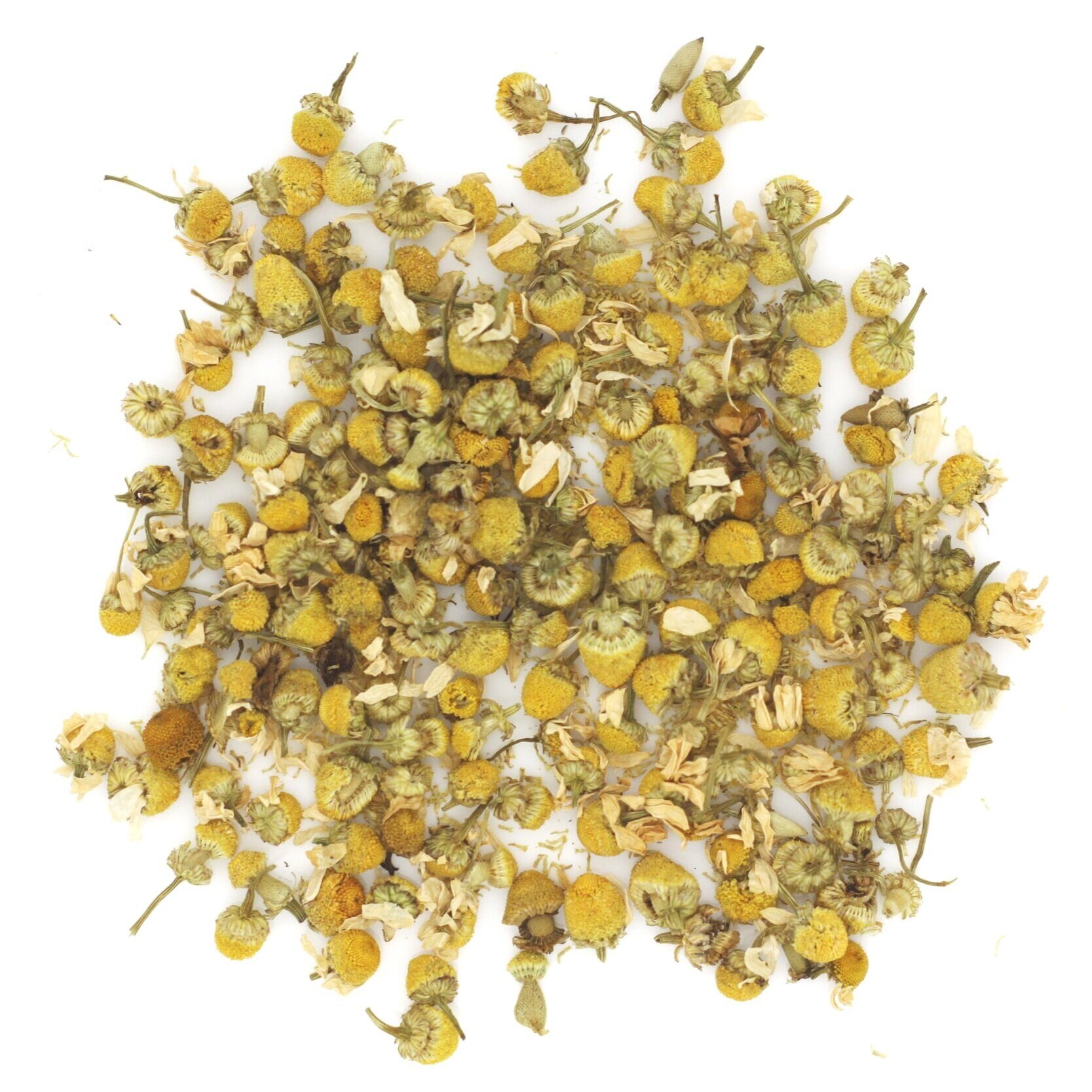 camomile.jpg