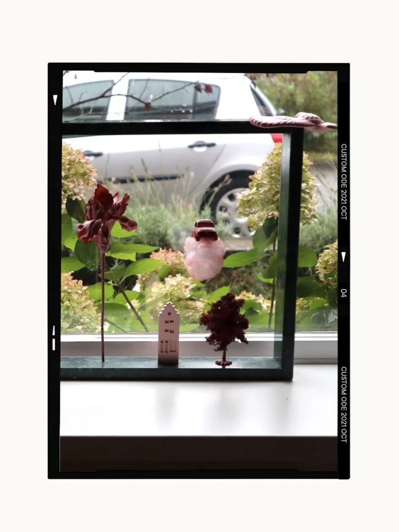 The Living Portrait - for Dirk & Jasmijn