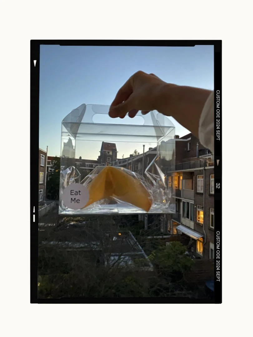 The Fortune Cookie - for Bobbery PR