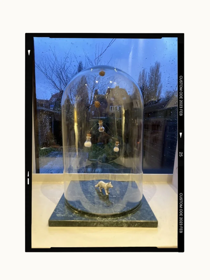 Adventure forecast - for Alex