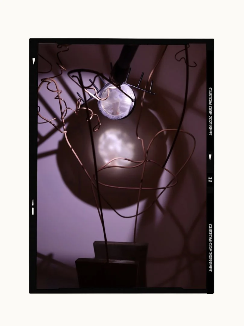 My Life Under The Loupe - own work