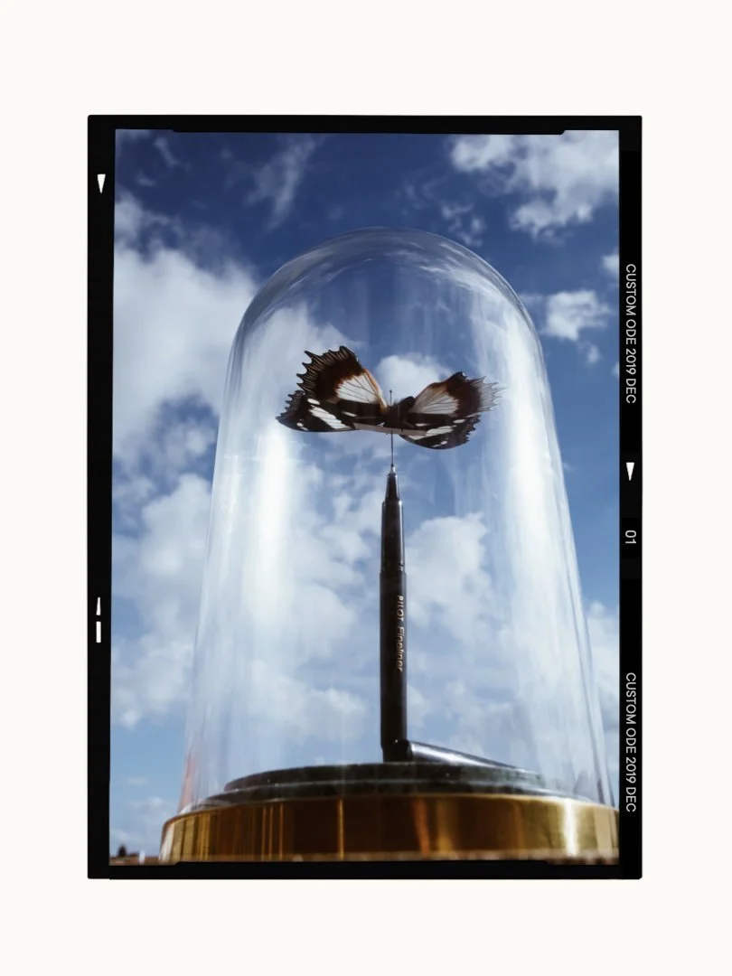 The Metamorphosis - The first Ode