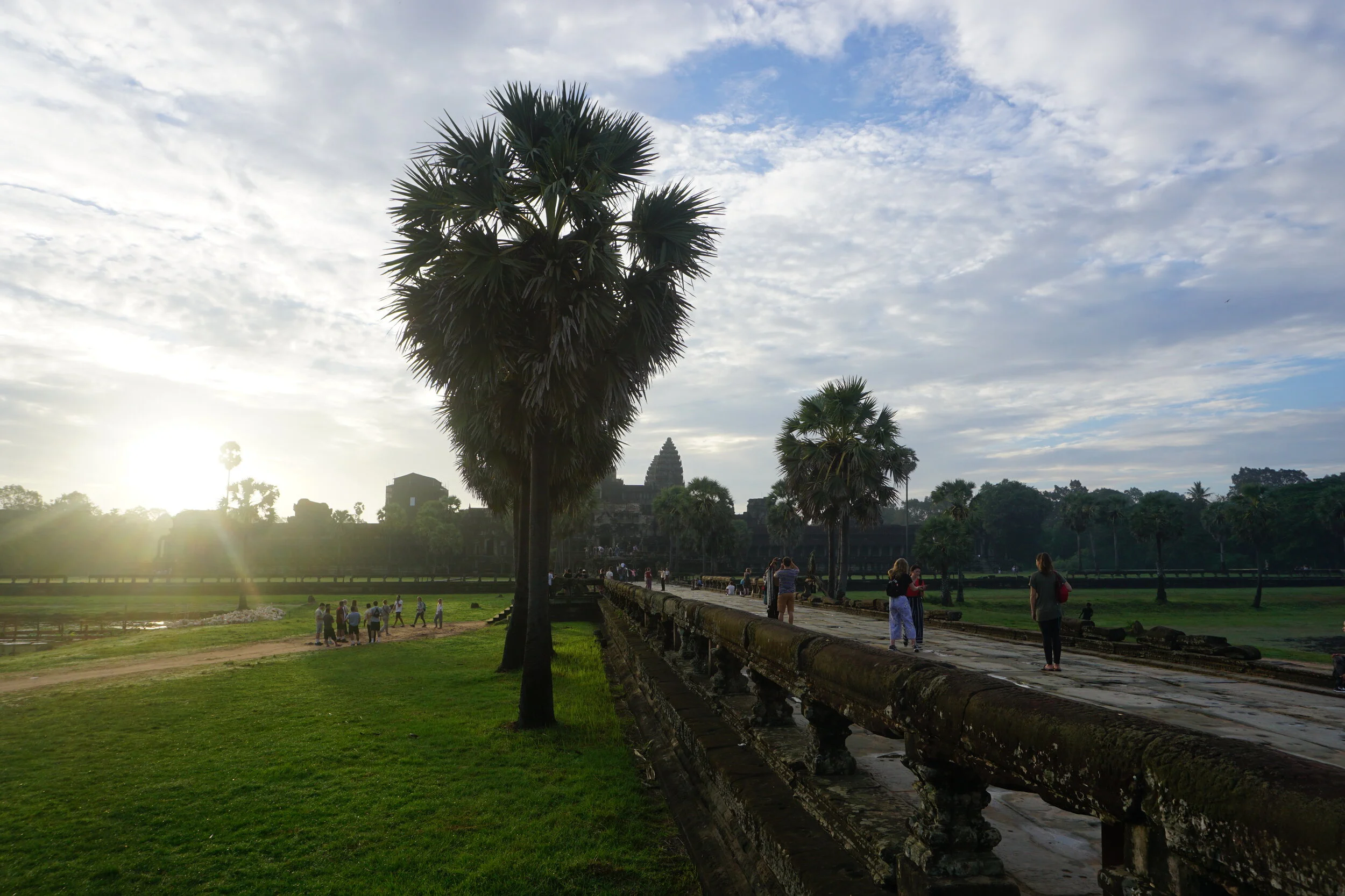 DSC07975.JPG