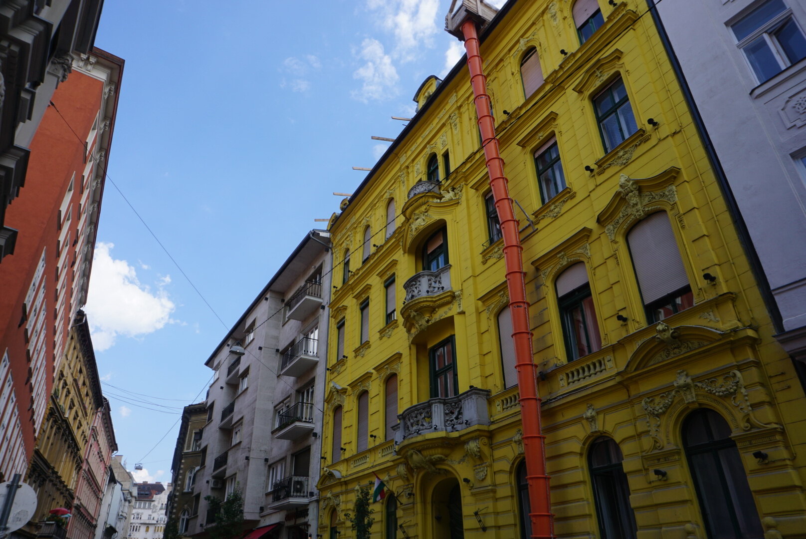 DSC08294.JPG