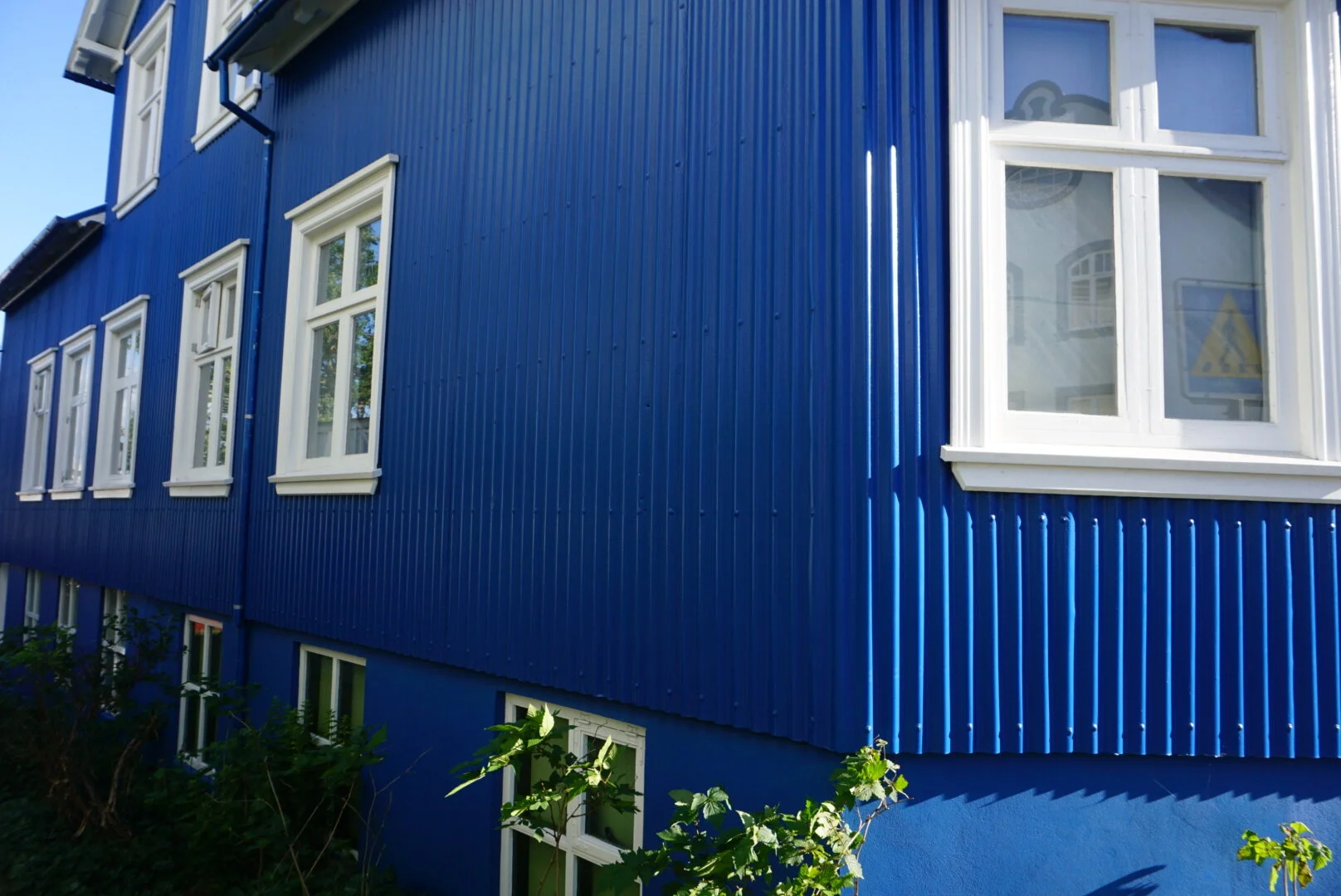 DSC08222.JPG